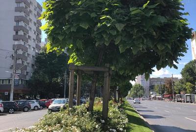 Apartament cu 3 camere semidecomandat în Gorjului - 4