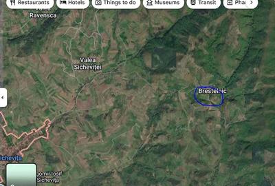 Teren de 70000 mp, în Brestelnic - 1