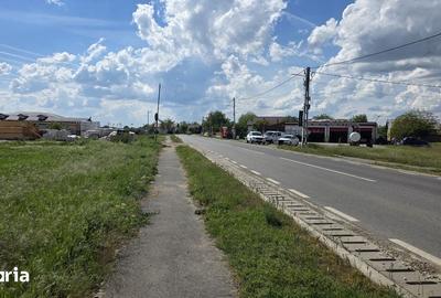 Teren de 9600 mp, în Niculești - 7