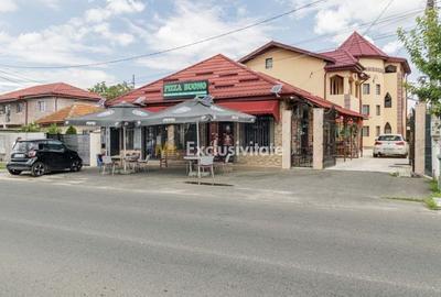 Spațiu comercial, de 22 mp, în Cernica