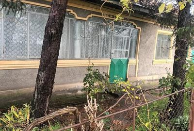Casă cu 3 camere cu Teren 1100 Mp în Socetu