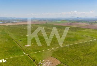 Teren de 4700 mp, în Central - 4