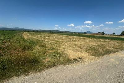 Teren de 5000 mp, în Râșnov Romacril - 4