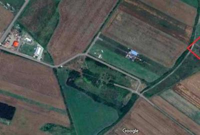 Teren de 1290 mp, în Sud - 2