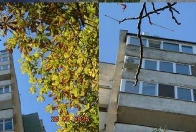 Apartament cu 2 camere în Central - 4