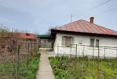 Casă cu 3 camere cu Teren 740 Mp în Snagov - 2