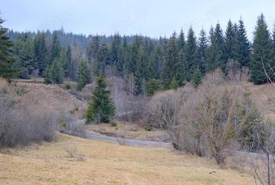 Teren de 5814 mp, în Călimănel - 1