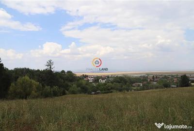 Teren de 1195 mp, în Poiana Angelescu - 6