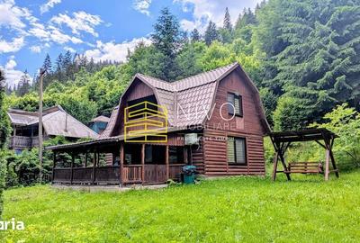Casă cu 4 camere cu Teren 850 Mp în Lunca - 7