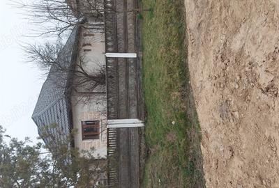 Casă cu 3 camere cu Teren 5000 Mp în Valea Vinului - 1
