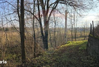 Teren de 10860 mp, în Gălănești - 4