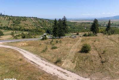 Teren de 4200 mp, în Central