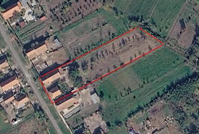 Casă cu Teren 2900 Mp în Jamu Mare - 8