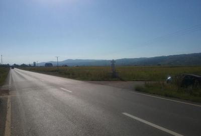 Teren de 4900 mp, în Băcăinți - 2
