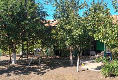 Casă cu 5 camere cu Teren 1550 Mp în Licuriciu - 9