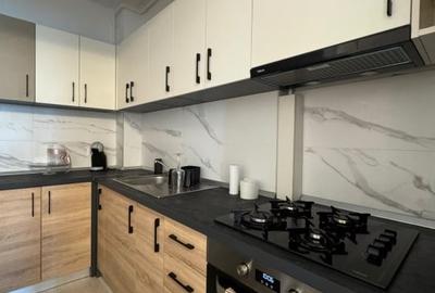 Apartament cu 2 camere, mobilat în Parcul Carol - 4