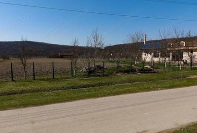 Teren de 2970 mp, în Odvoș - 5