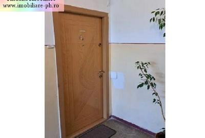 Apartament cu 3 camere în Nord - 1