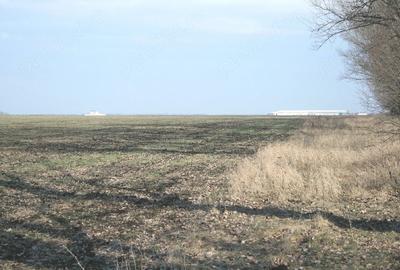 Teren de 20000 mp, în Afumați - 5
