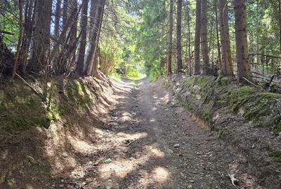 Teren de 3436 mp, în Ceahlău - 8