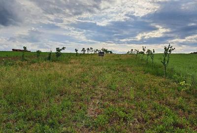 Teren de 2900 mp, în Ion Creangă - 4