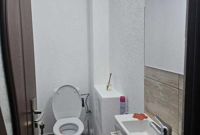 Apartament cu 2 camere decomandat în Aradul Nou - 4
