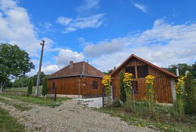 Casă cu 7 camere semidecomandat cu Teren 3900 Mp în Șuncuiuș
