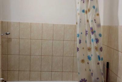 Garsonieră decomandată în Valea Rosie - 3