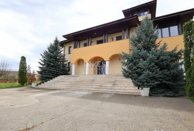 Casă cu 7 camere cu Piscina în Vișani - 11