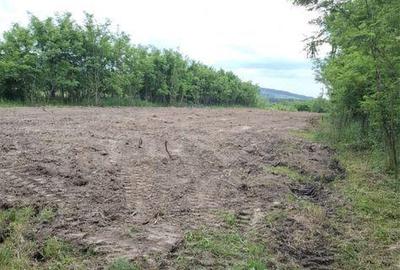 Teren de 3000 mp, în Cocorăștii Mislii - 5