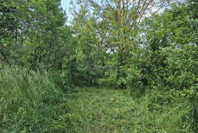 Casă cu 2 camere cu Teren 2112 Mp în Sângătin