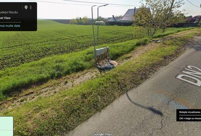 Teren de 10000 mp, în Săucești - 1