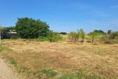 Teren agricol intravilan de 1000 mp, în Bradu - 1