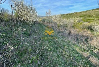 Teren agricol intravilan de 5500 mp, în Sopor - 8