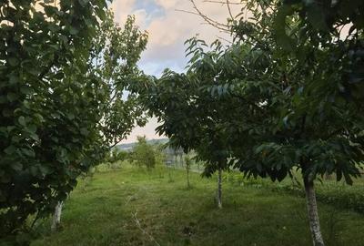 Casă cu 2 camere în Teiu - 1