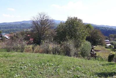 Teren de 4800 mp, în Vidra - 3