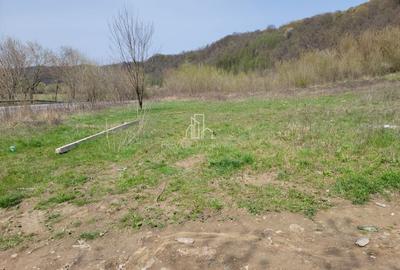 Teren Construcții extravilan de 2600 mp, în Venchi - 3