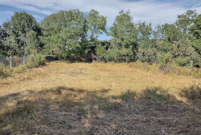 Teren de 482 mp, în Chicerea