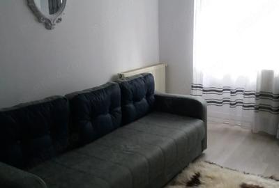 Apartament cu 2 camere nedecomandat în Poiana Țapului