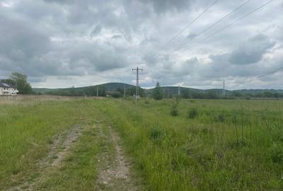 Teren Construcții extravilan de 8600 mp, în Șelimbăr - 2