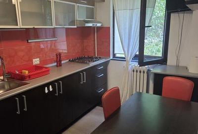 Apartament cu 2 camere semidecomandat în Tătărași - 6