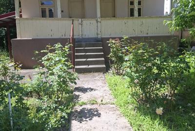 Casă individuală cu 3 camere cu Teren 3923 Mp în Govora - 6
