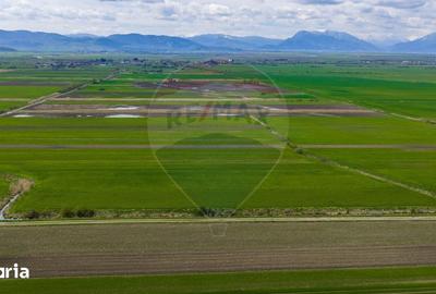 Teren de 4000 mp, în Prejmer - 5