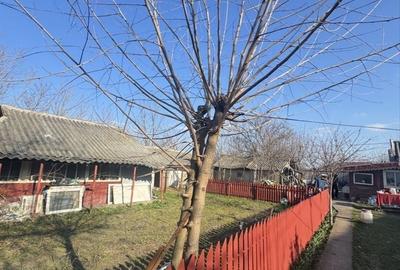 Casă cu 4 camere în Cavadinești