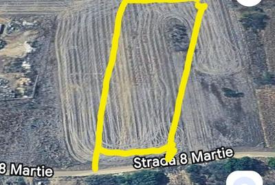 Spațiu comercial, în 1 Decembrie