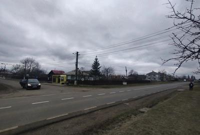 Casă cu Teren 3976 Mp în Dumbrăvița - 2