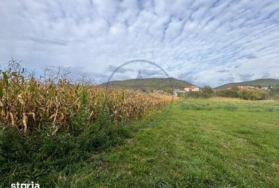 Teren de 2500 mp, în Șieu