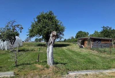 Casă cu 3 camere cu Teren 4400 Mp în Valea Vinului - 15