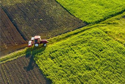 Teren agricol extravilan de 30000 mp, în Unirea