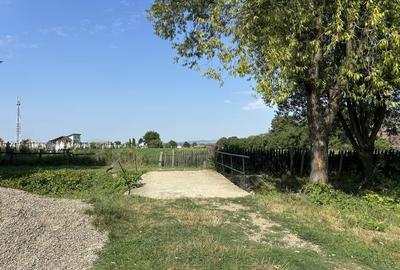 Teren de 1500 mp, în Dobârlău